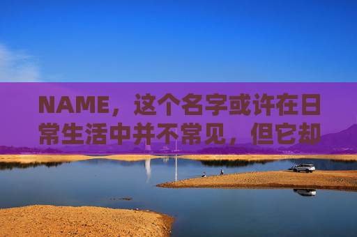 NAME，这个名字或许在日常生活中并不常见，但它却在某些领域里扮演着重要的角色。今天，让我们一起来探索这个名字背后的故事和意义